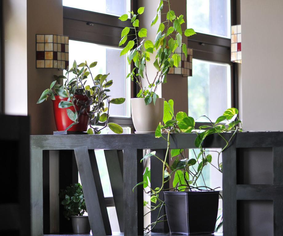 Boutique Hotel Sudetia - Medical & Spa Świeradów-Zdrój Eksteriør bilde