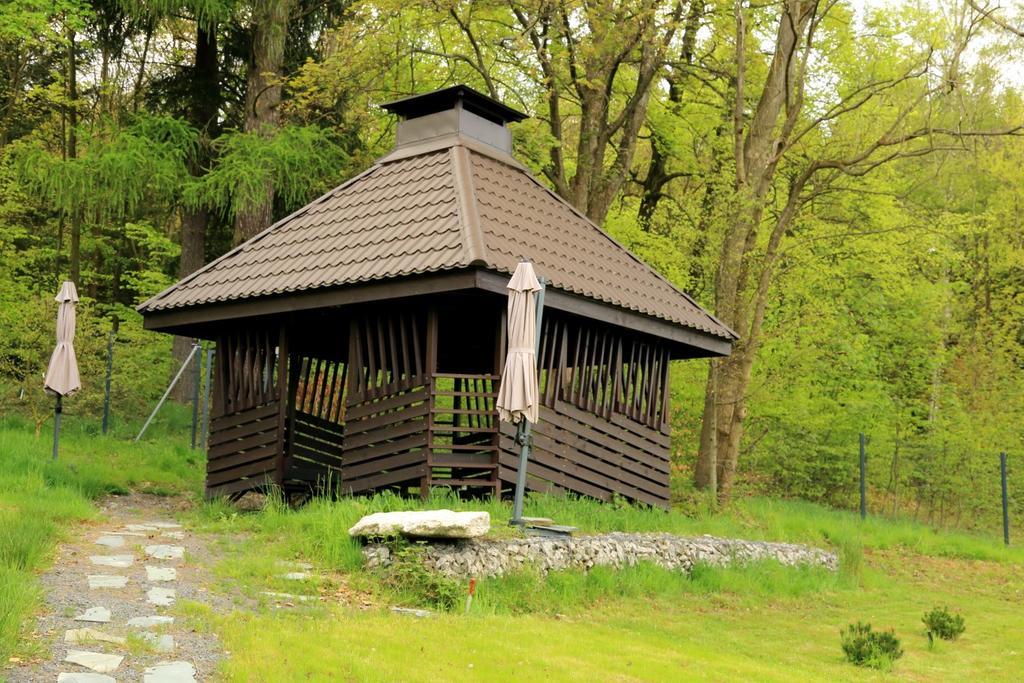 Boutique Hotel Sudetia - Medical & Spa Świeradów-Zdrój Eksteriør bilde